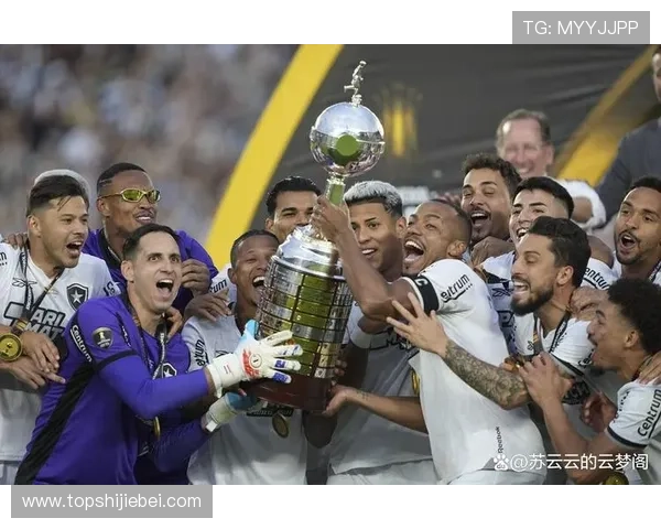 详细解析历届世界杯冠军名单图，追溯足球世界的冠军荣耀之路